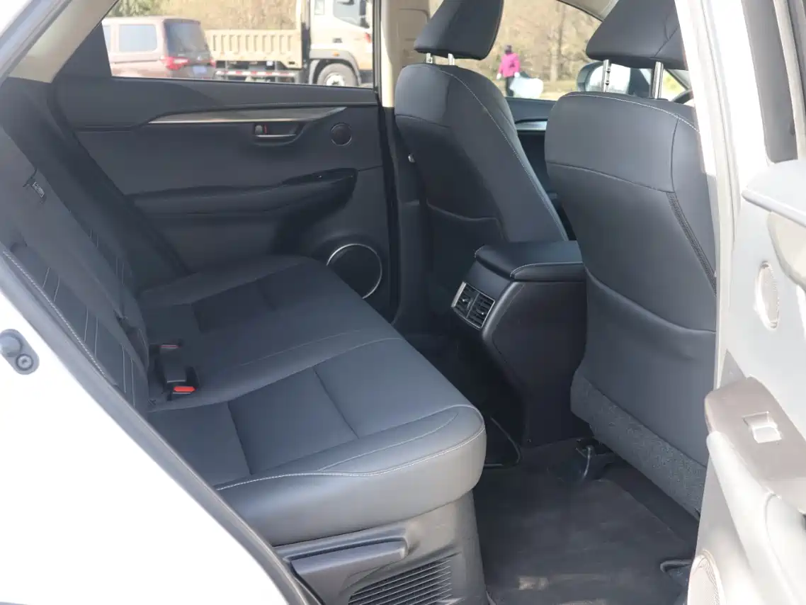 Lexus NX 2018 Model 200 AWD Fengshang Edition China V фото 11