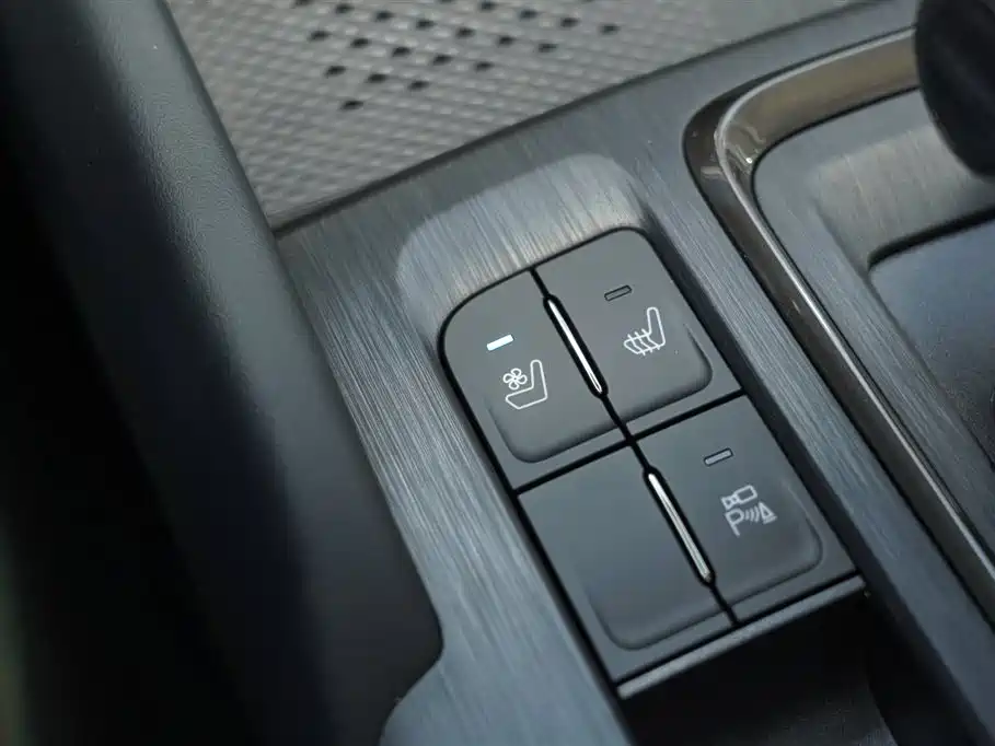 Haval H9 2024 2.0T Gasoline AWD Extreme Edition фото 22
