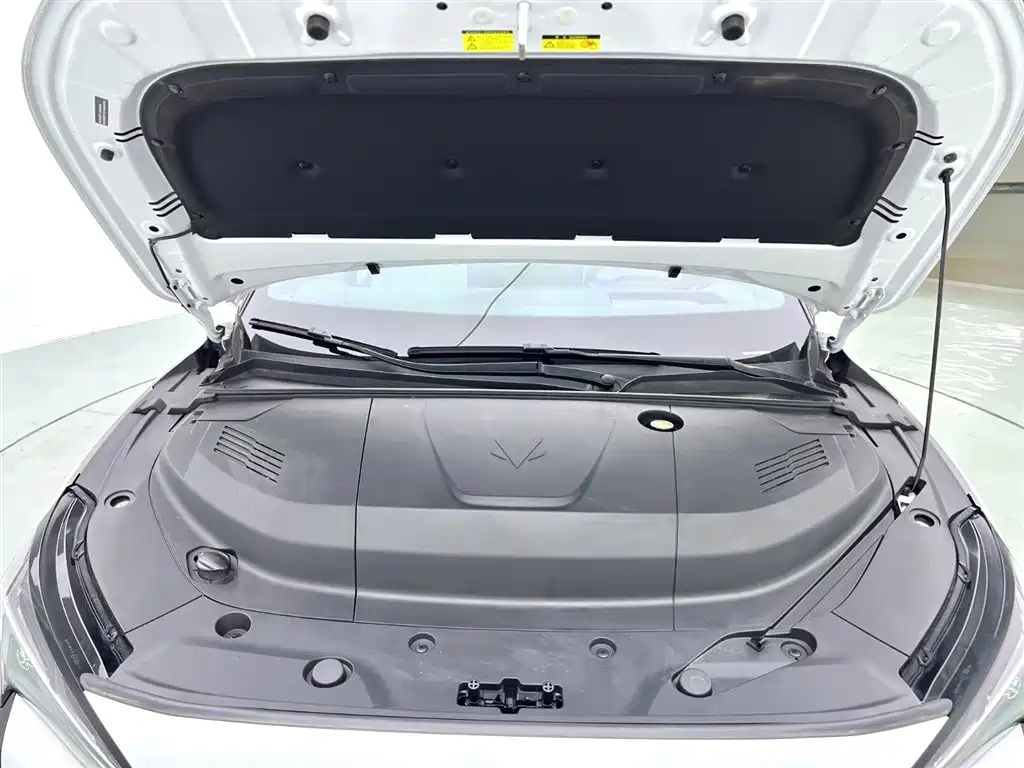 ARCFOX EXTREME FOX POLAR FOX ALPHA S5