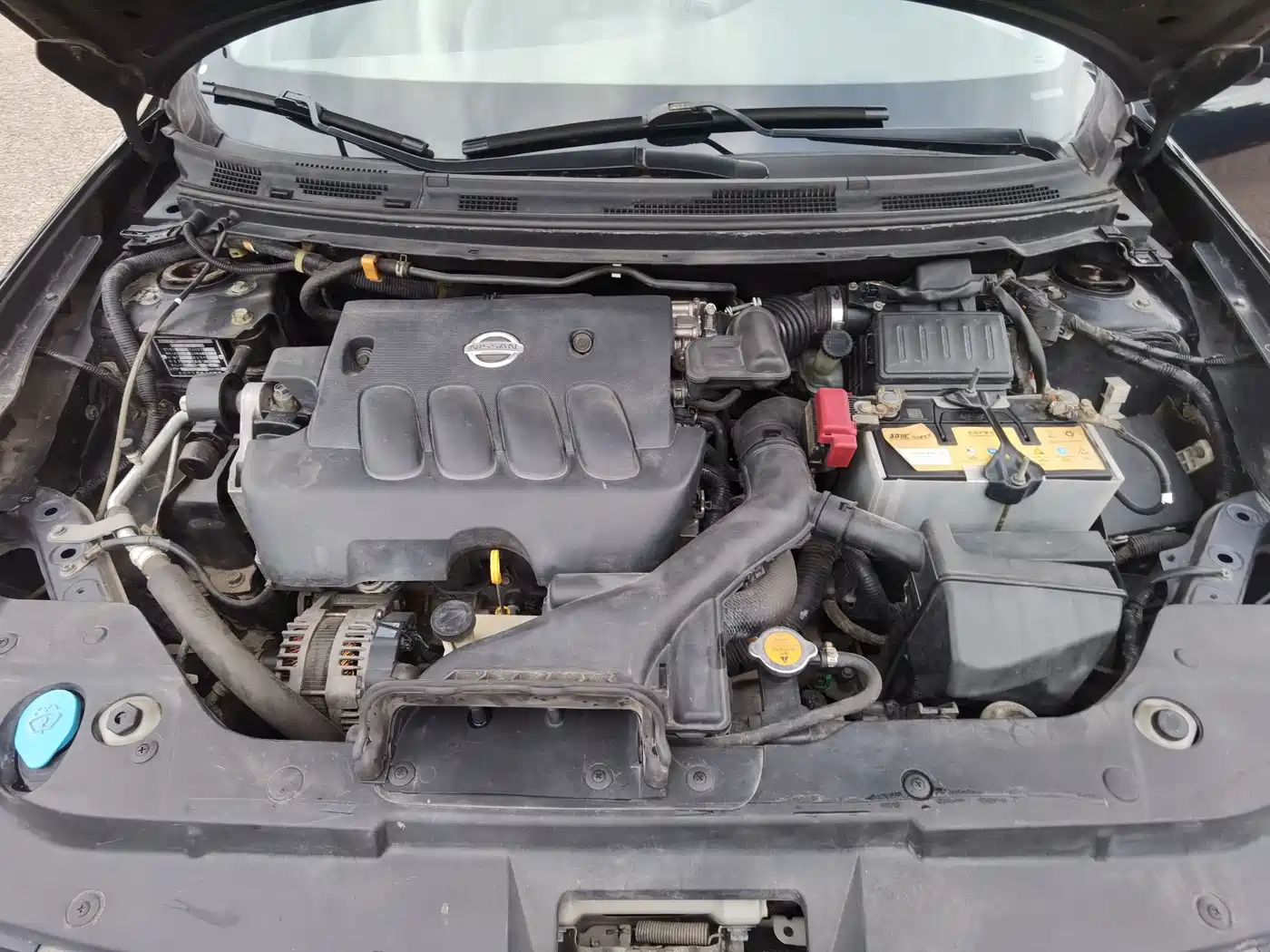 Nissan Sylphy 2008 2008 2.0XE Comfort Edition