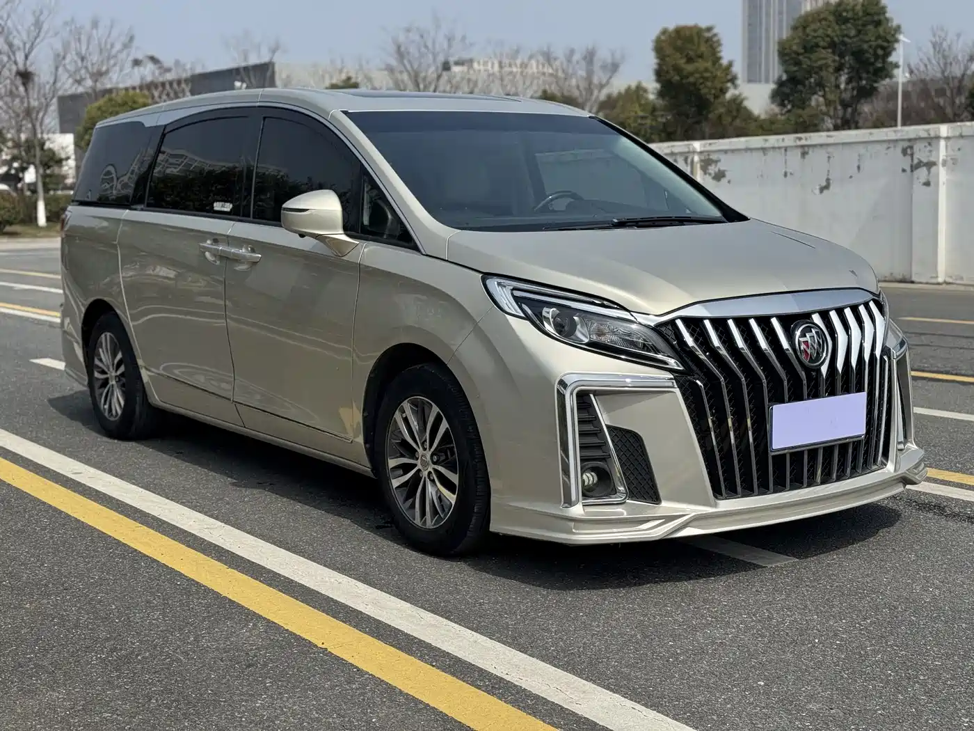 Buick GL8 2018 ES 28T Premium Type China VI фото 3