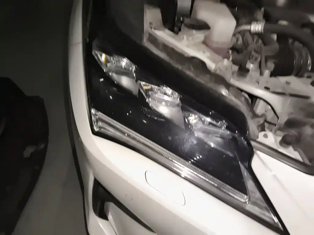 Lexus RX 2016 300 4WD Elegance Edition (China V) фото 7