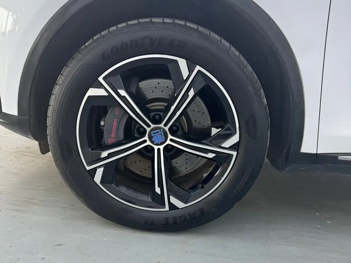 BYD Tang New Energy 2021 DM 2.0T AWD High Performance Premium фото 6