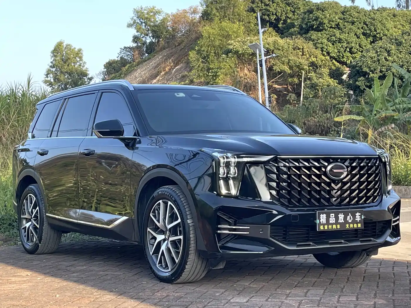 GAC Trumpchi Trumpchi GS8 2022 Pilot Series 2.0TGDI 2WD Luxury Smart Connect Edition (7-Seater) фото 3