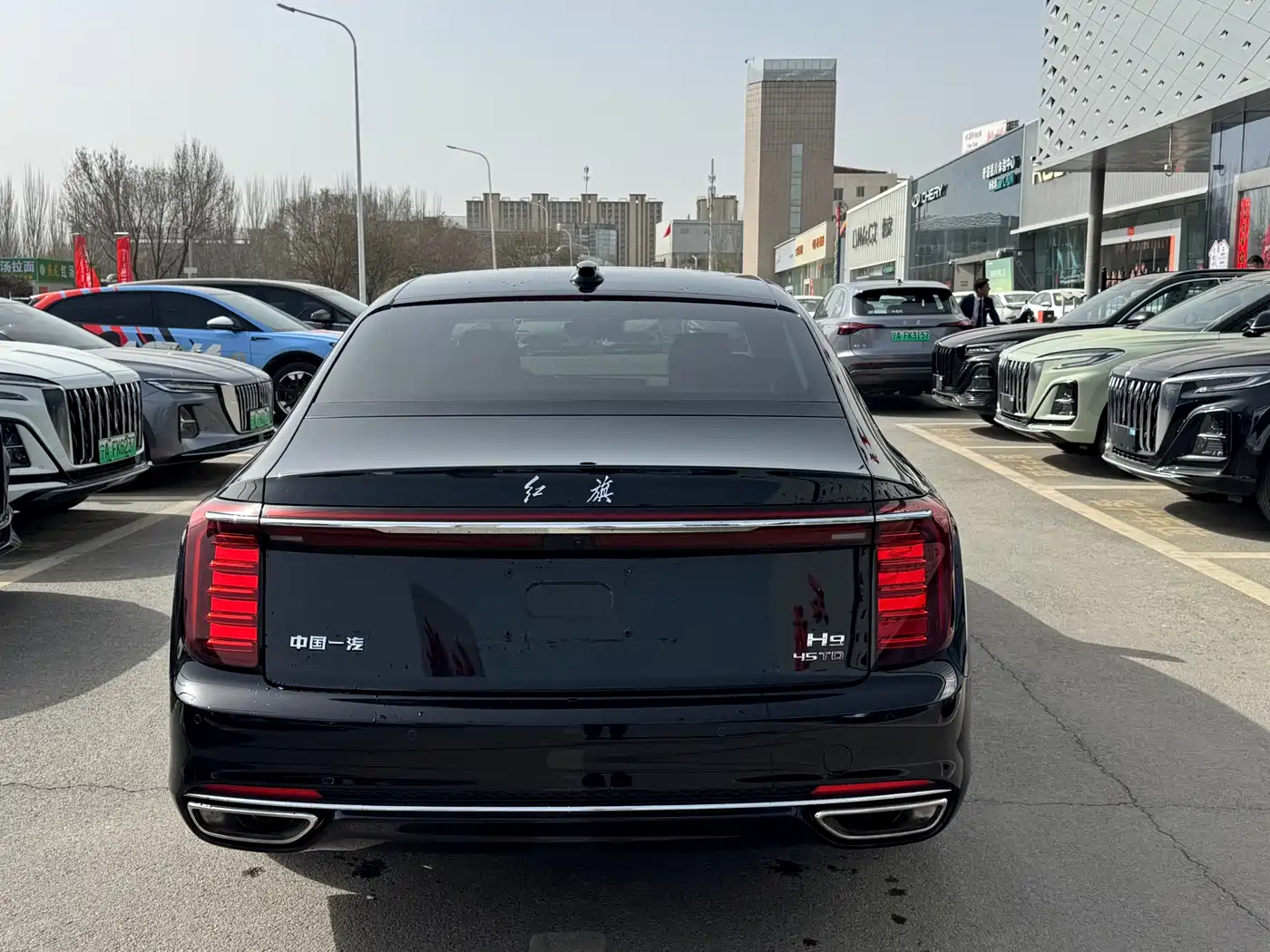 Hongqi H9 2025 Facelift 2.0T 2WD Flagship Luxury Business Edition 5-seater фото 6