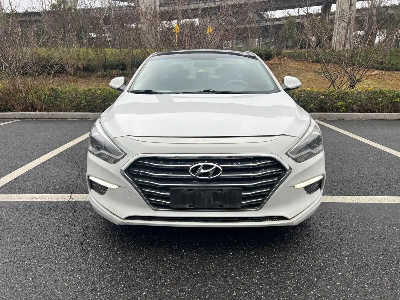 HYUNDAI NAME PICTURE