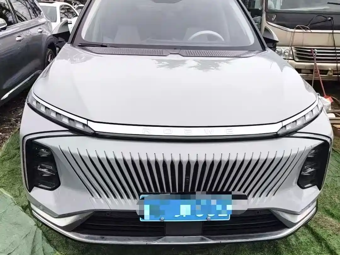 Roewe Whale 2022 2022 2.0T Blue Whale Edition