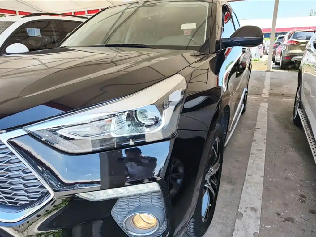 Haval H6 Coupe 2018 Red Label 1.5T Auto 2WD Ultra Luxury фото 24