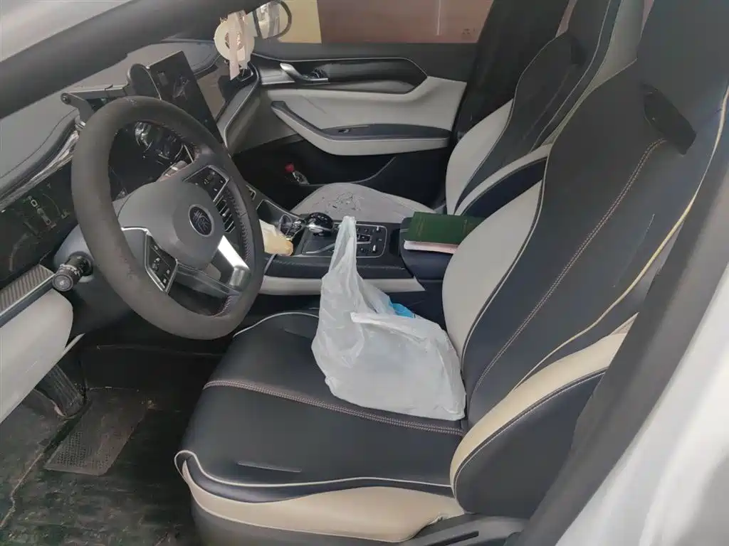 BYD Qin PLUS 2021 DM-i 55KM Flagship фото 17