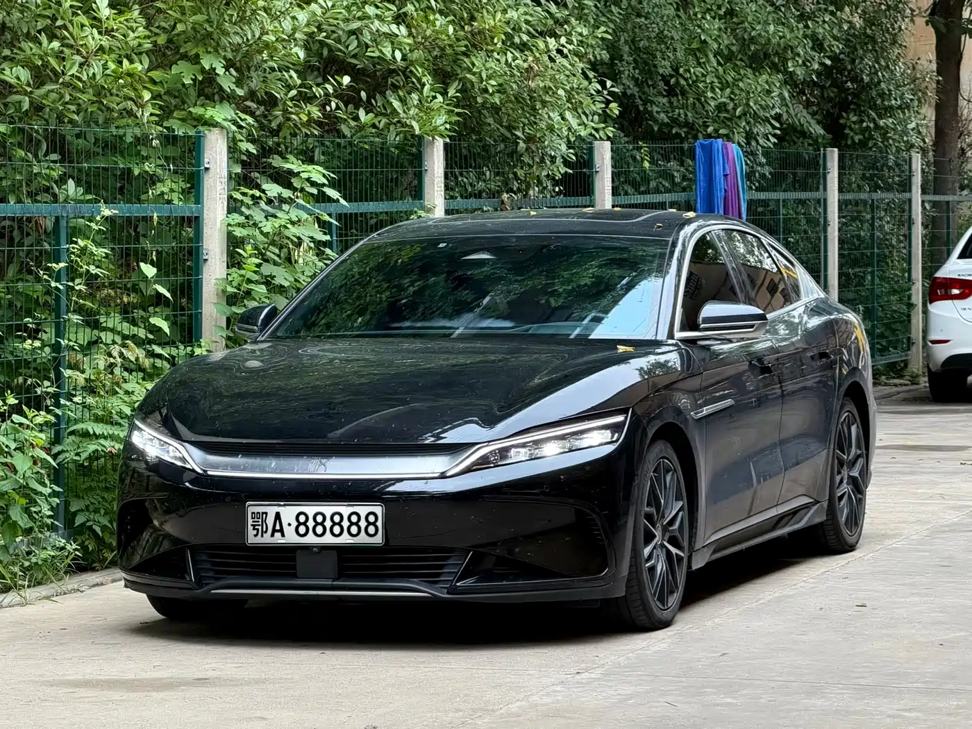 BYD Han 2022