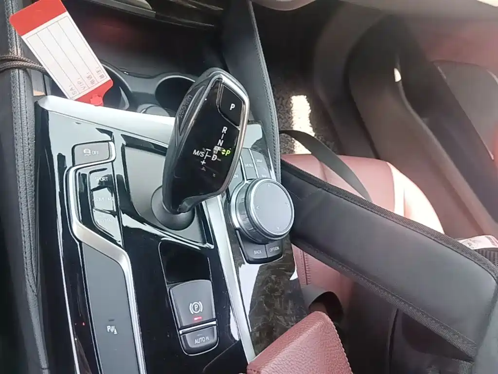 BMW 5 Series 2019 530Li Leading M Sport Package фото 14
