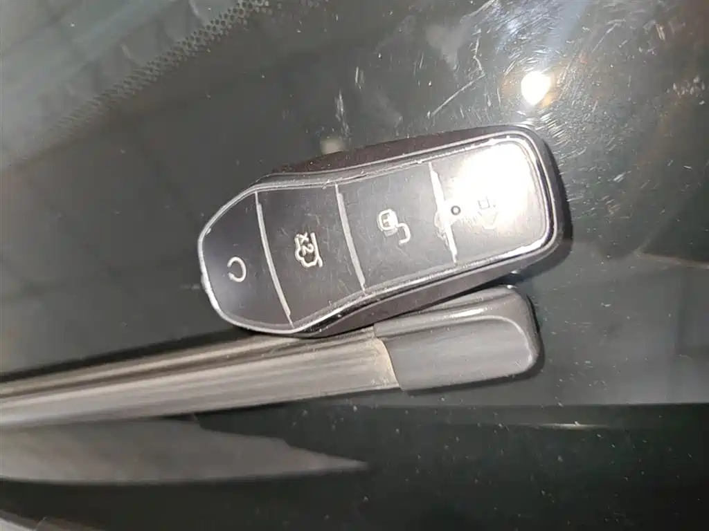 BYD Tang New Energy 2024 DM-i Champion Edition 200KM Premium фото 9