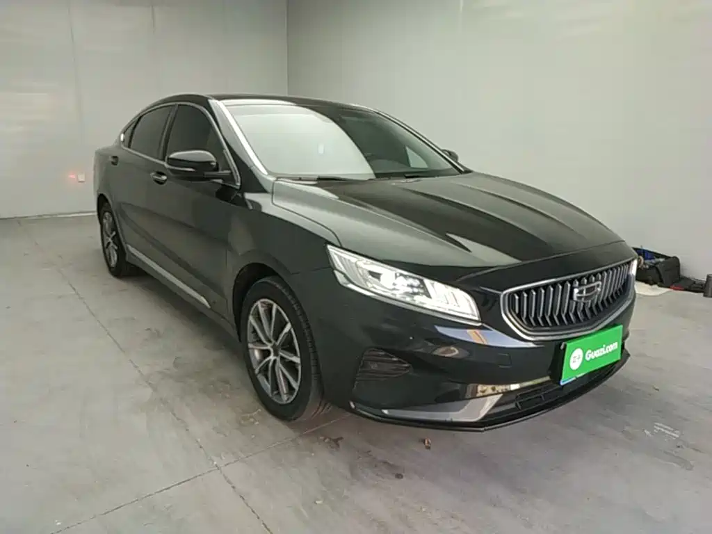 Фото 4 - Geely Borui