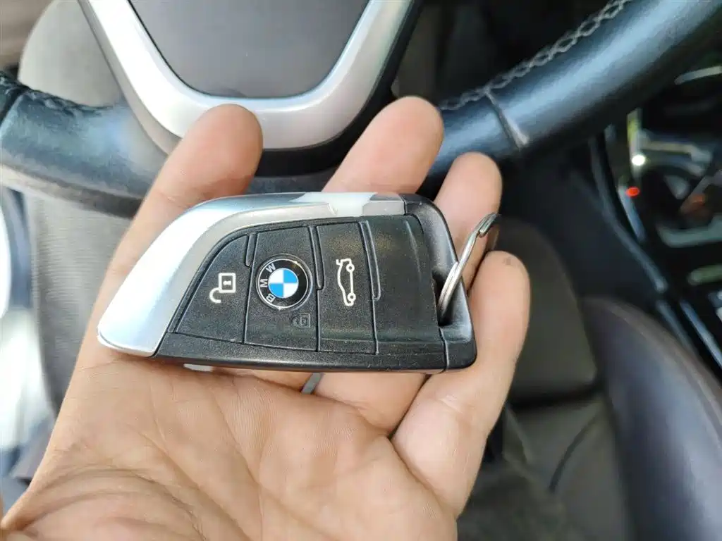 BMW X1 New Energy 2019 xDrive25Le Range Upgrade Edition фото 12