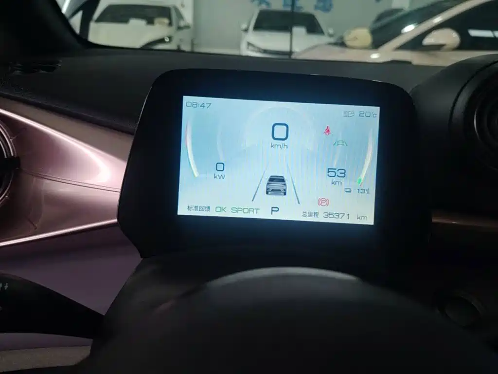 BYD Dolphin 2022 2021 401km Knight Edition