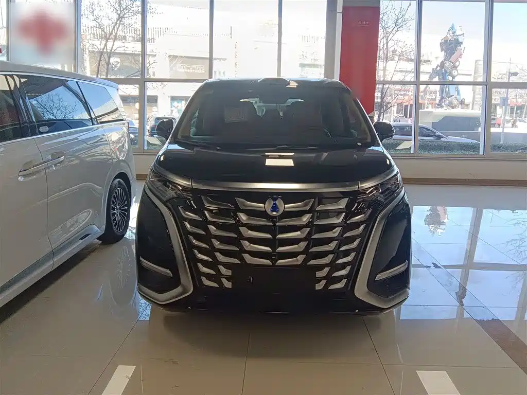 Denza D9 2025 DM-i Smart Drive Edition 1020 AWD Premium фото 3