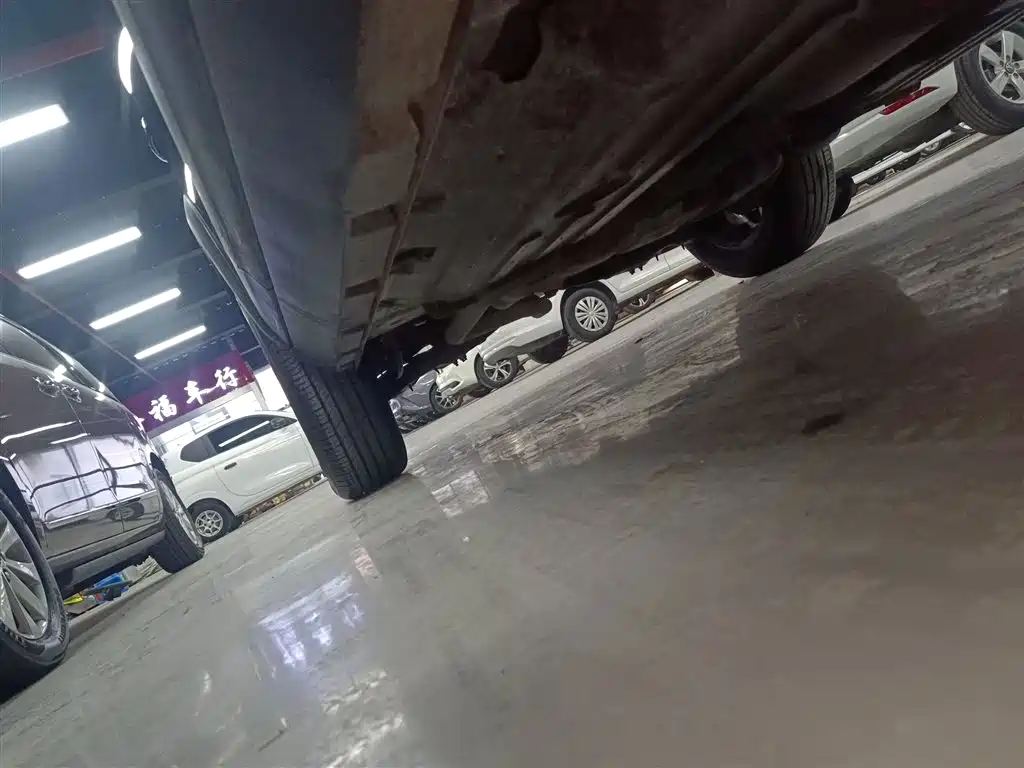 Haval Big Dog 2024 1.5T DCT Border Collie Edition фото 19