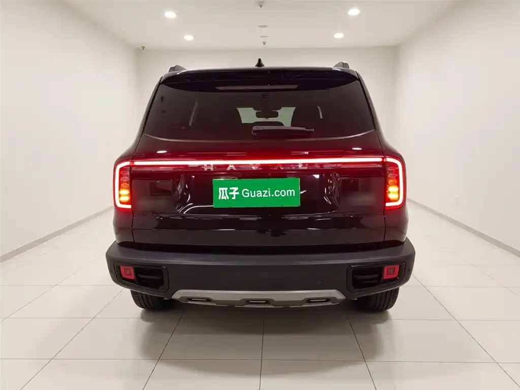 Haval Big Dog 2024 1.5T DCT Border Collie Edition фото 4