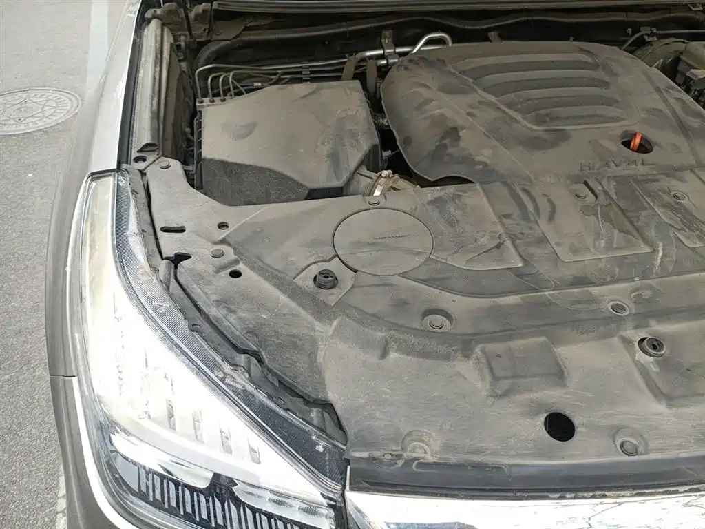 Haval H9 2022 2.0T Gasoline 4WD Elite 5-Seater фото 22