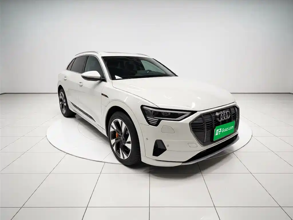 Audi e-tron (Import) 2019 55 quattro Technology фото 3