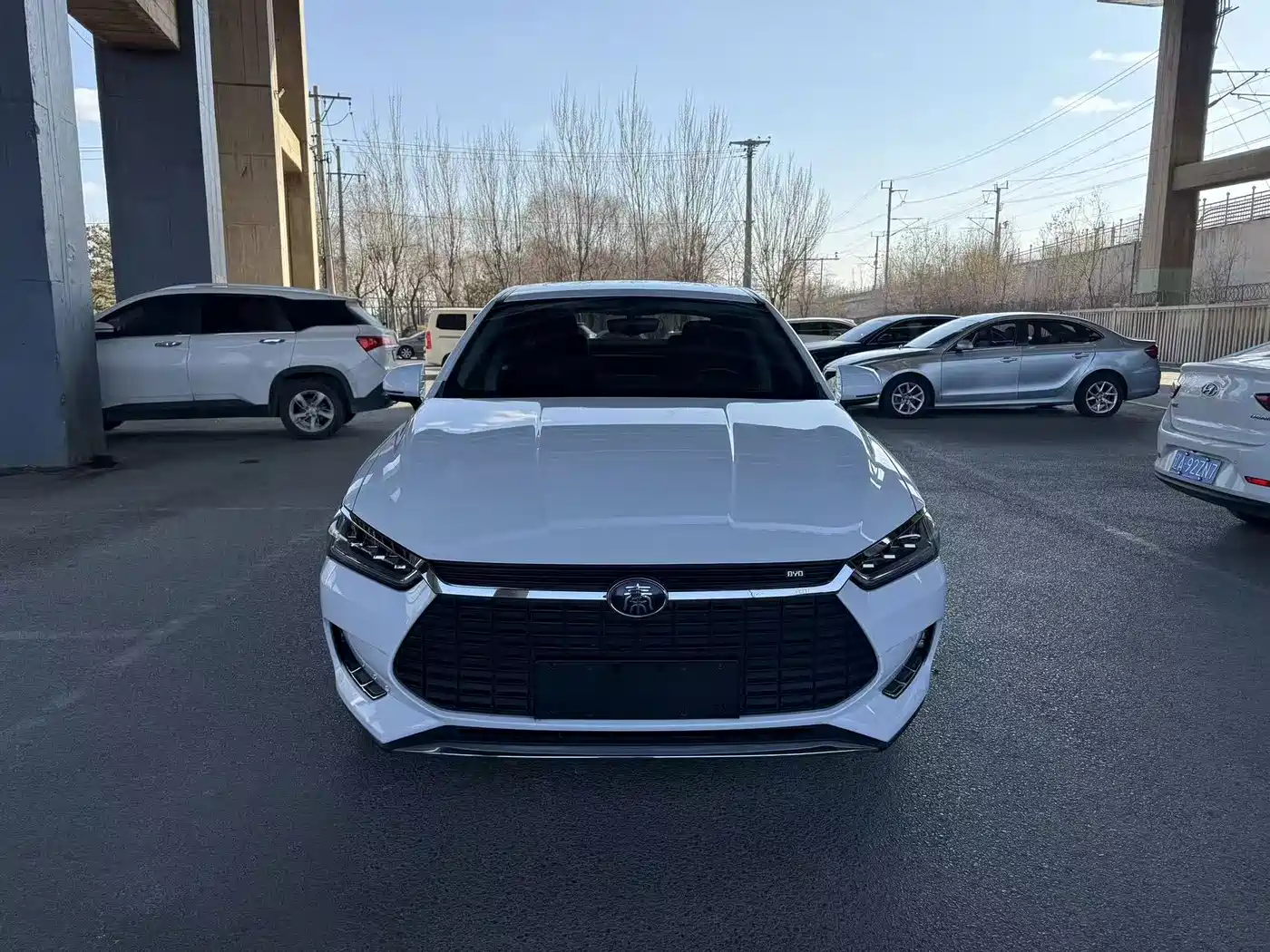 BYD QINHUANGDAO NEW ENERGY