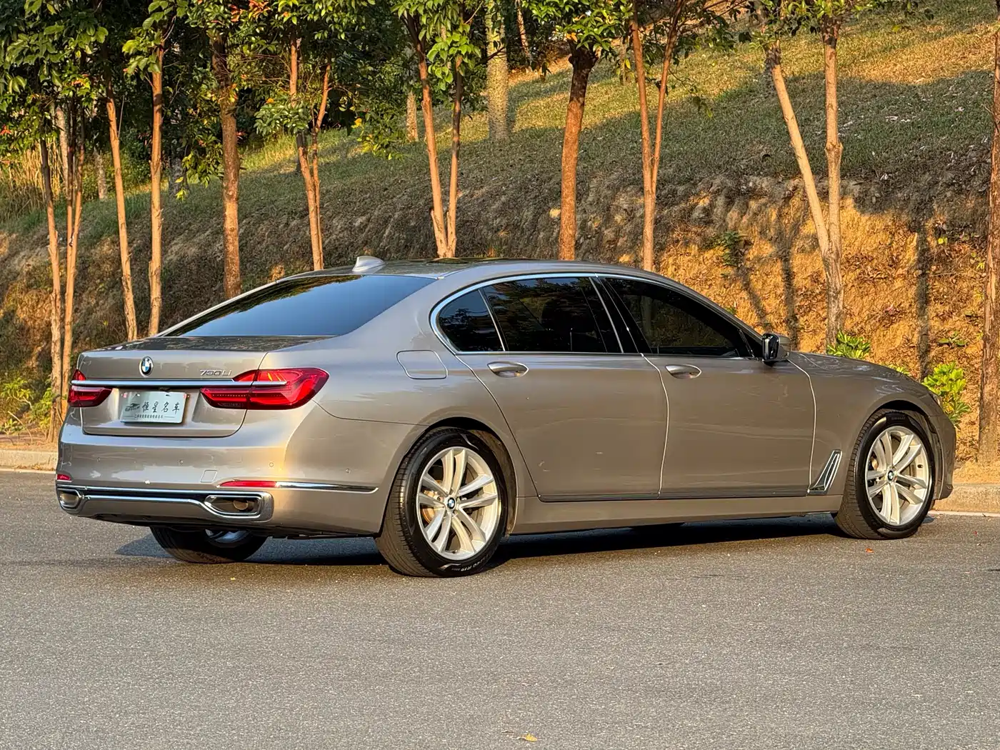 BMW 7 Series 2018 730Li Premium Type Excellence Package фото 9