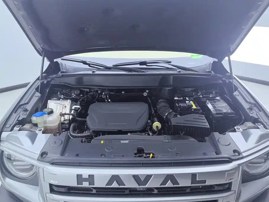 Haval Big Dog 2024 1.5T DCT Border Collie Edition фото 10