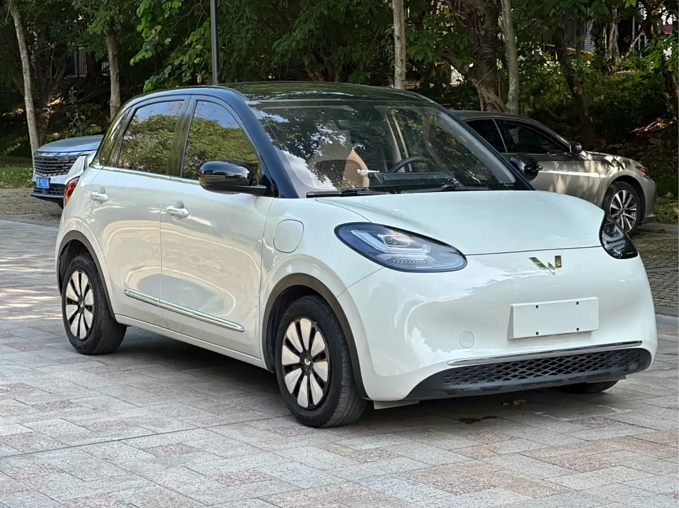 Wuling Motors Wuling Bingo 2023 2023 Model 333km Joy+ Version