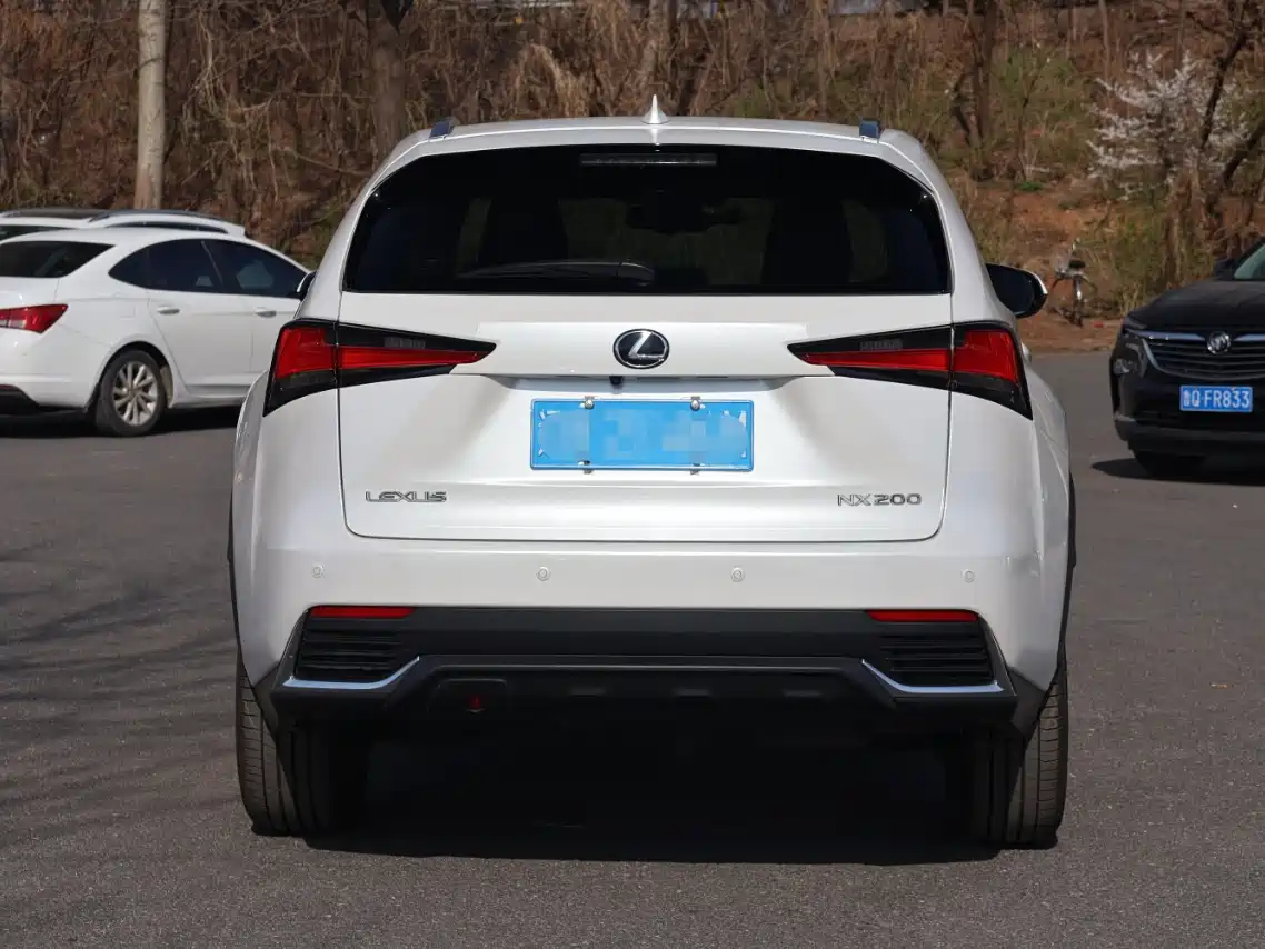 Lexus NX 2018 Model 200 AWD Fengshang Edition China V фото 6