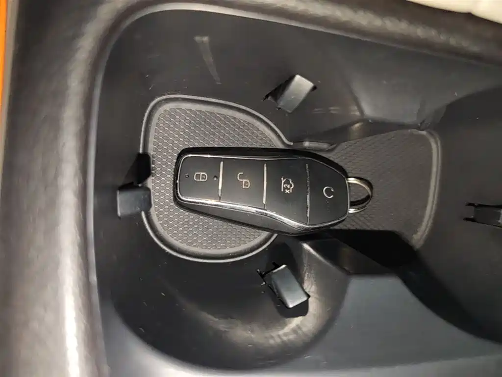 BYD Song Pro New Energy 2024 Glory Edition DM-i 71KM Pilot фото 9
