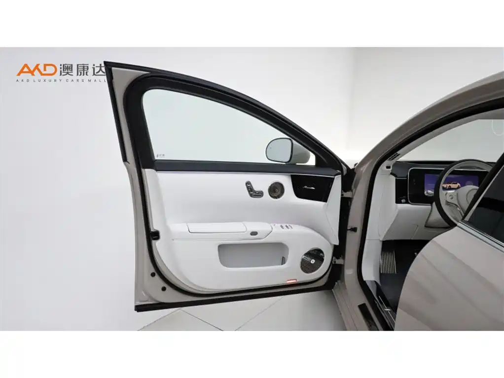 Zunjie S800 2026 Model Extended Range Starlight Executive Edition 4-seater фото 10