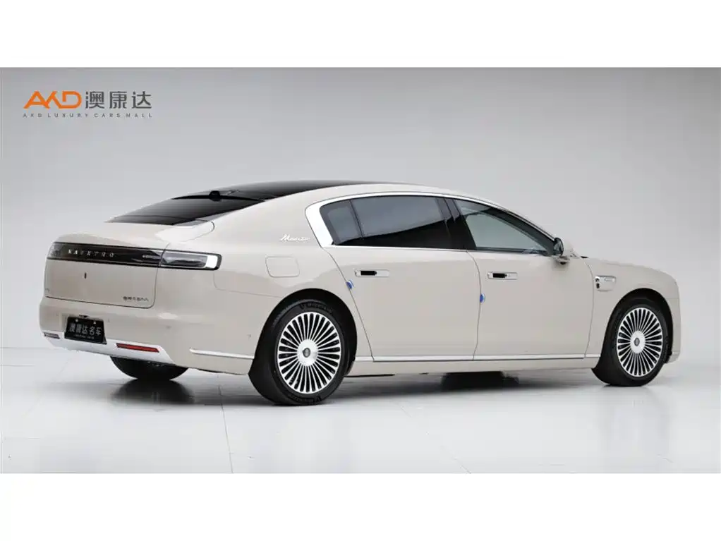 Zunjie S800 2026 Model Extended Range Starlight Executive Edition 4-seater фото 3