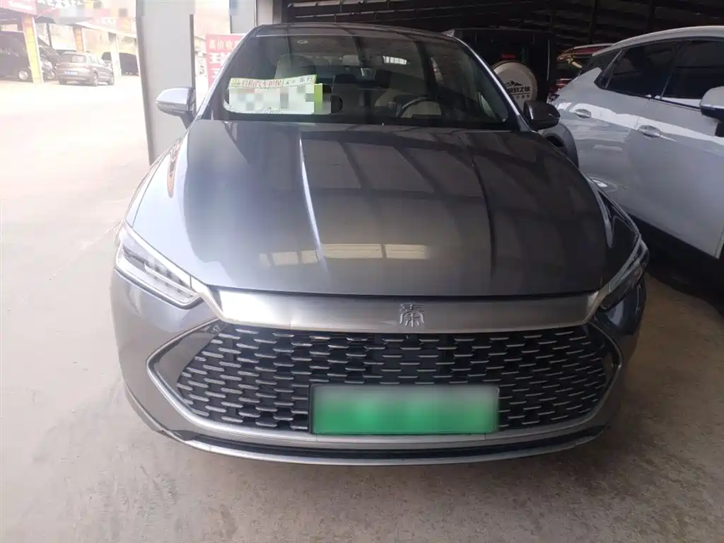 BYD Qin PLUS 2023 Champion Edition DM-i 55KM Leading фото 3