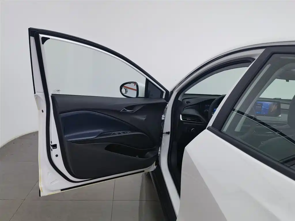 BUICK SLIGHTLY BLUE 6