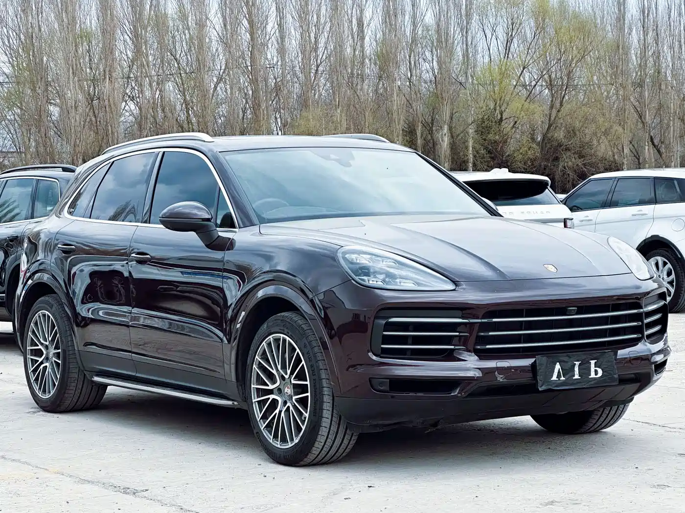 Porsche Cayenne 2019 Cayenne 3.0T фото 15