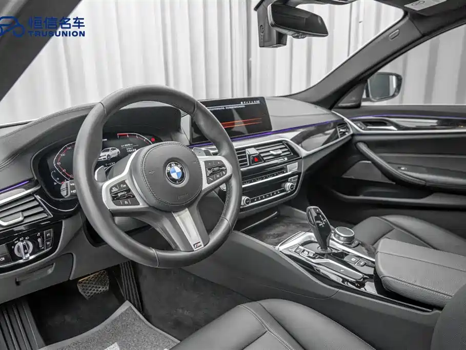 BMW 5 Series 2020 530Li Leading M Sport Package фото 12