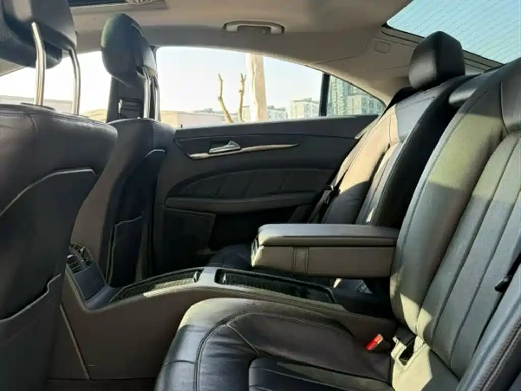 Mercedes-Benz CLS 2012 CLS 300 CGI фото 5