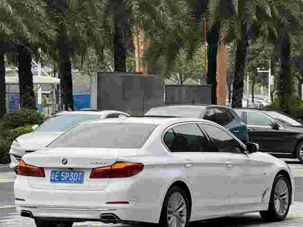 BMW 5 Series 2018 Facelift 530Li Leading Luxury Package фото 9