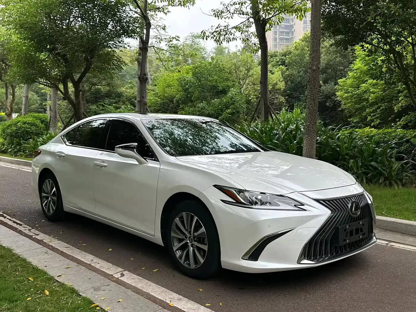 Lexus ES 2021 200 Excellence Edition фото 3