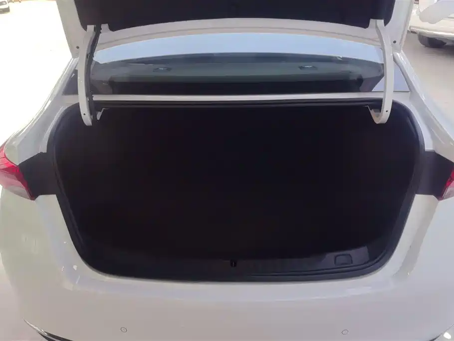 BUICK WEILANG