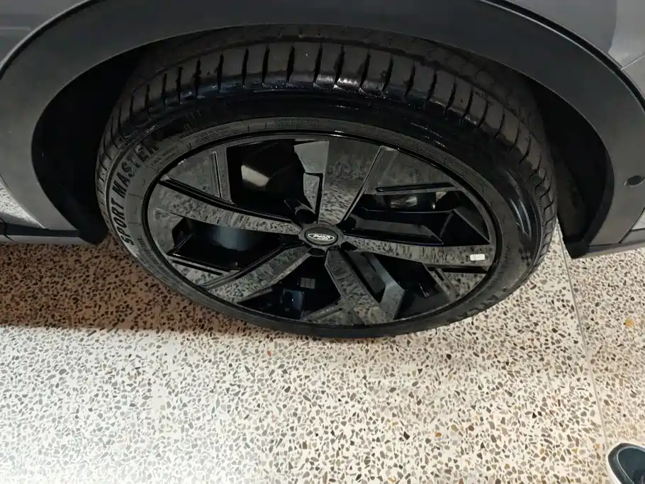 Ford Lingrui New Energy 2025 2025 Model Premium Edition PLUS