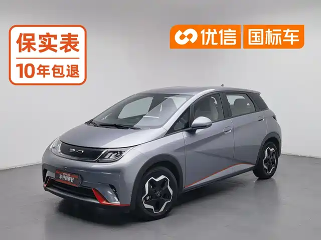 BYD Dolphin 2021 405km Freedom Edition — фото 1