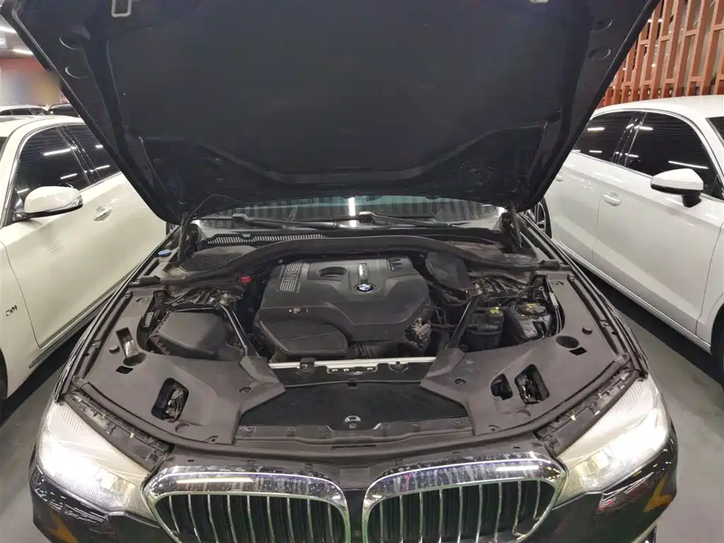 BMW 5 Series 2018 528Li Launch Special Edition фото 16