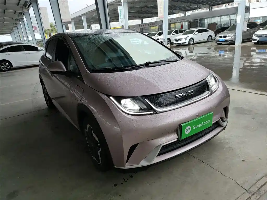 BYD Dolphin 2021 Model 405km Fashion Edition фото 4