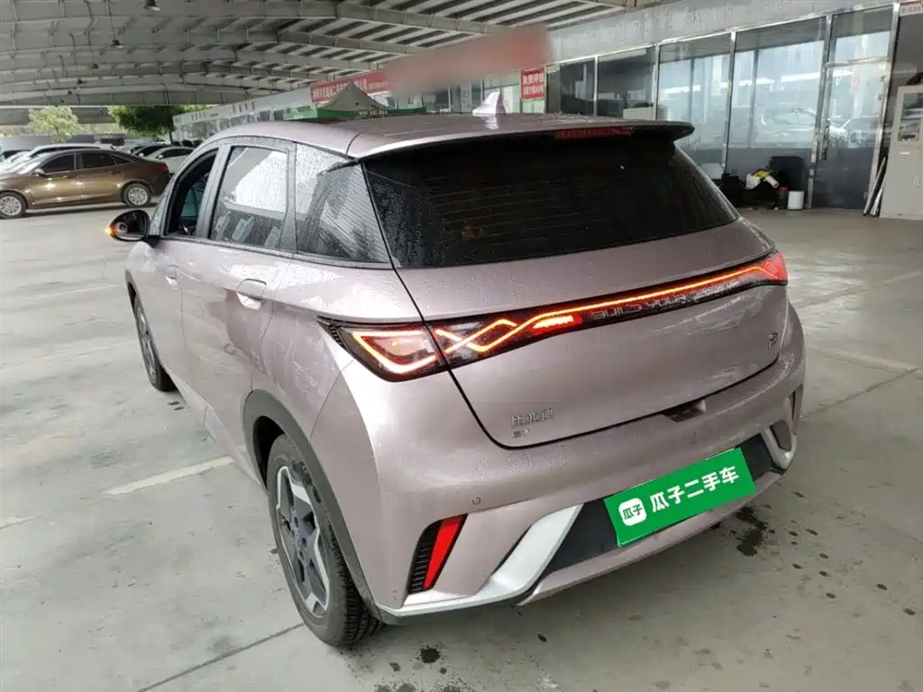 BYD Dolphin 2021 Model 405km Fashion Edition фото 5