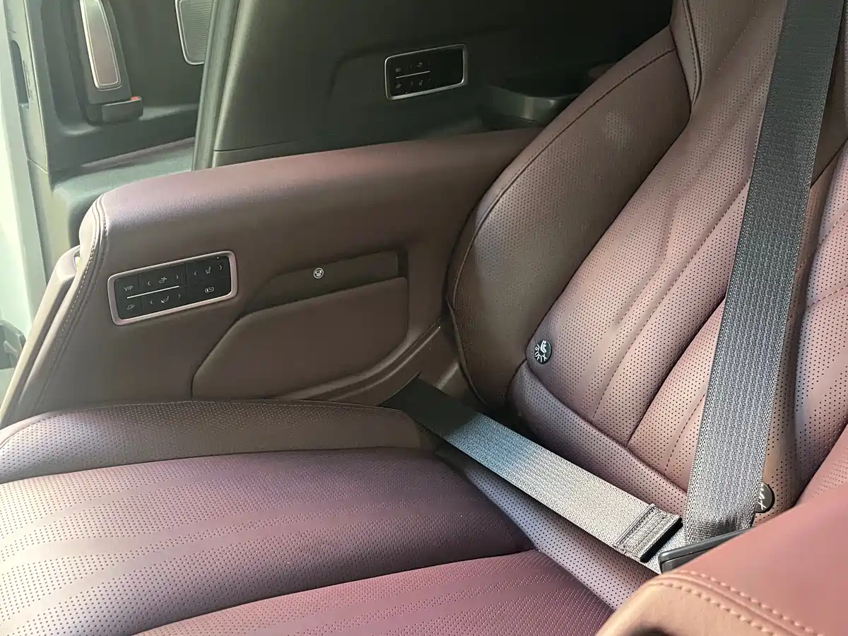 Buick Century 2023 2.0T 7-Seater World Edition фото 15