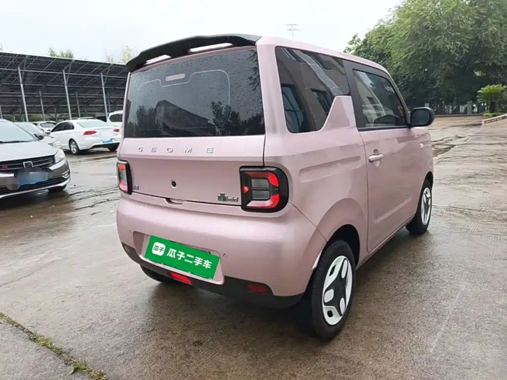 Фото 7 - Geely Galaxy Panda