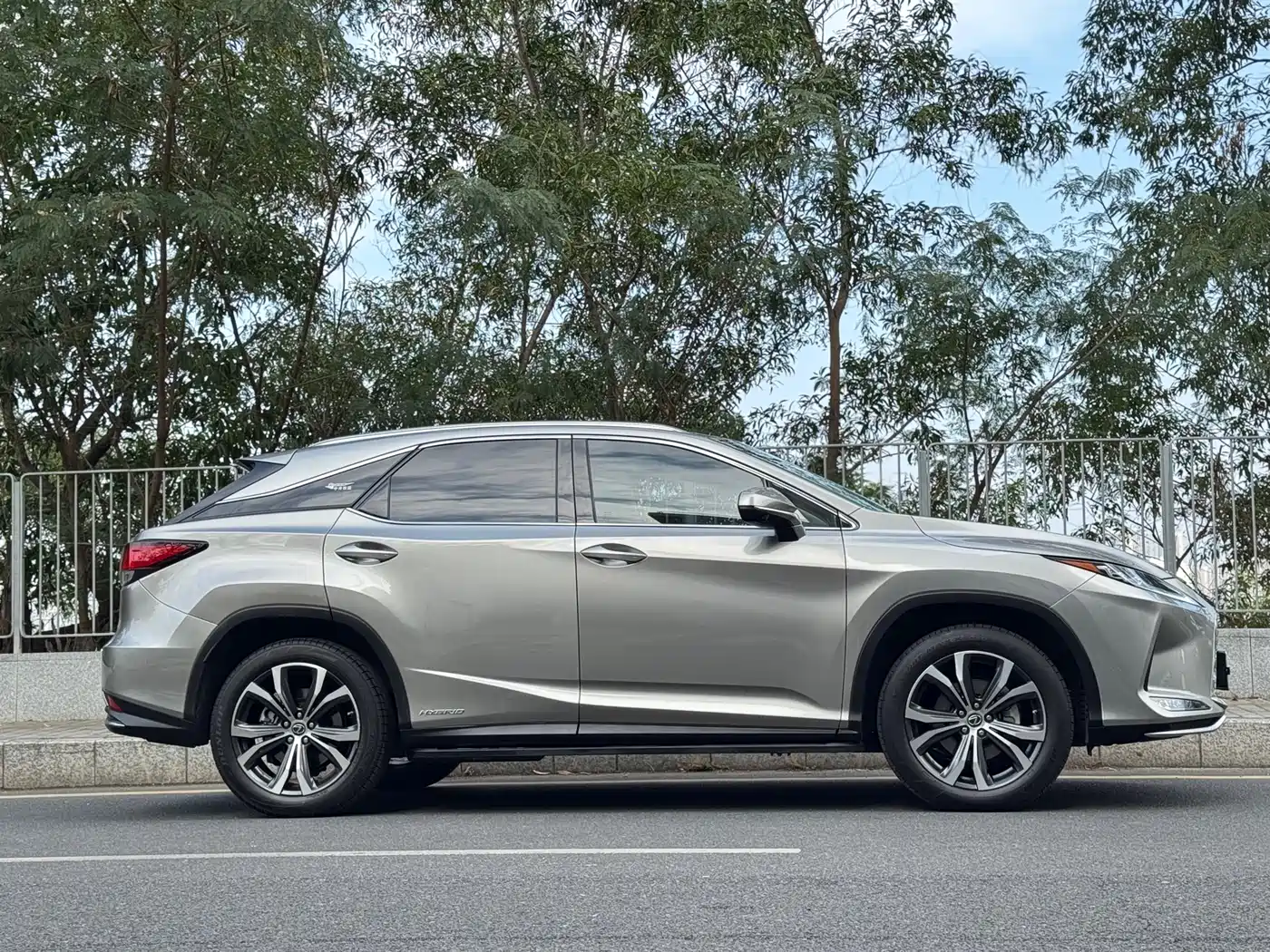 LEXUS RX