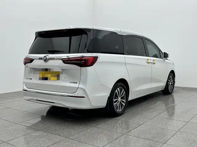 Buick GL8 2022 ES Landmark 653T Premium фото 6