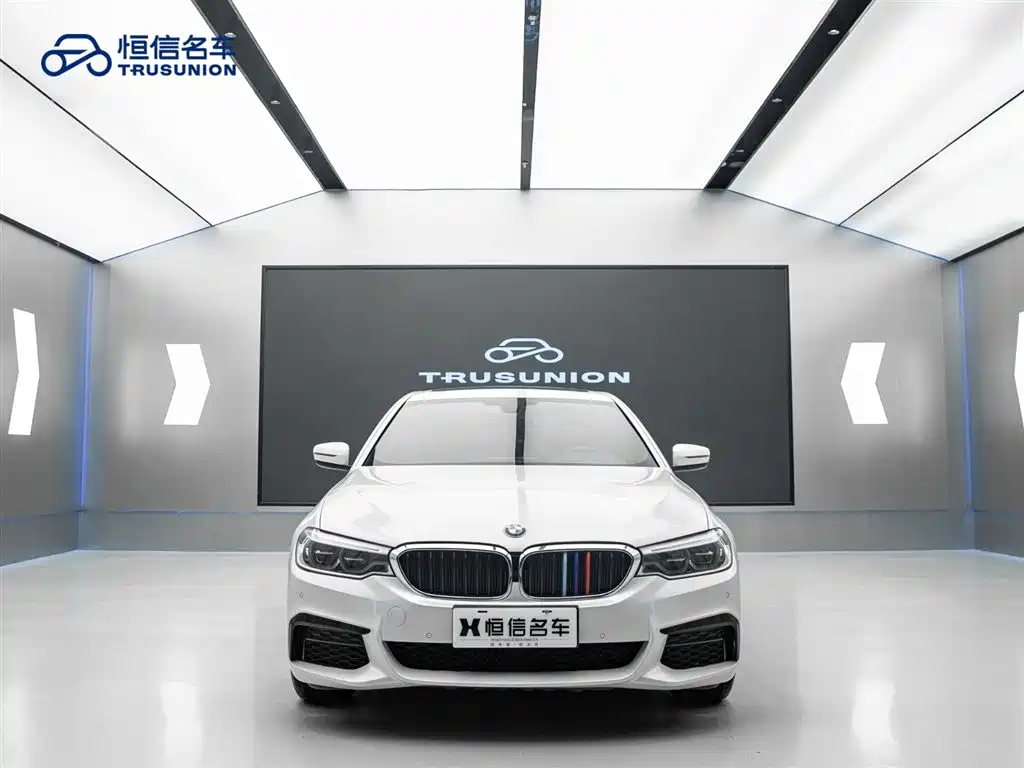 BMW 5 Series 2020 530Li Leading M Sport Package фото 2